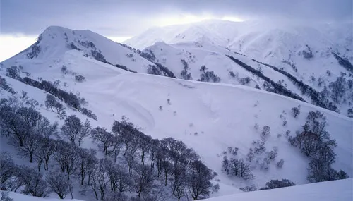 豊かな自然環境