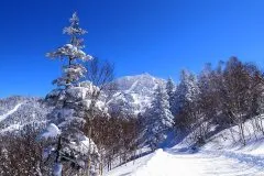 志賀高原横手山