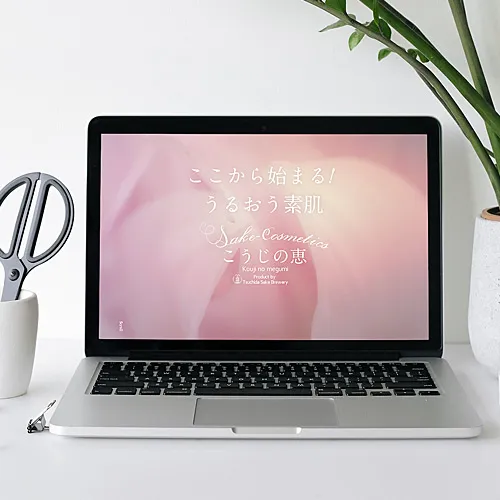 ライトプラン