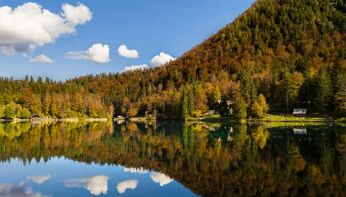 移住・定住需要の高まり