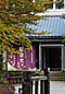 土田酒造入口