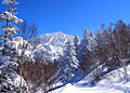 志賀高原横手山