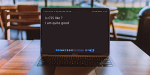 CSSは好きですか