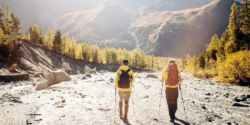 HTMLセクションと範囲