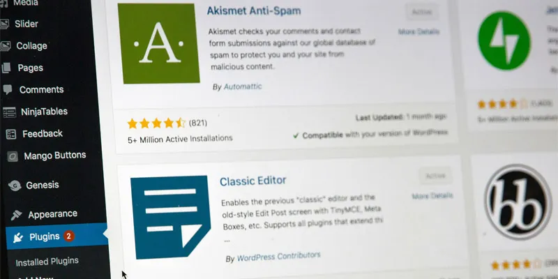 WordPress