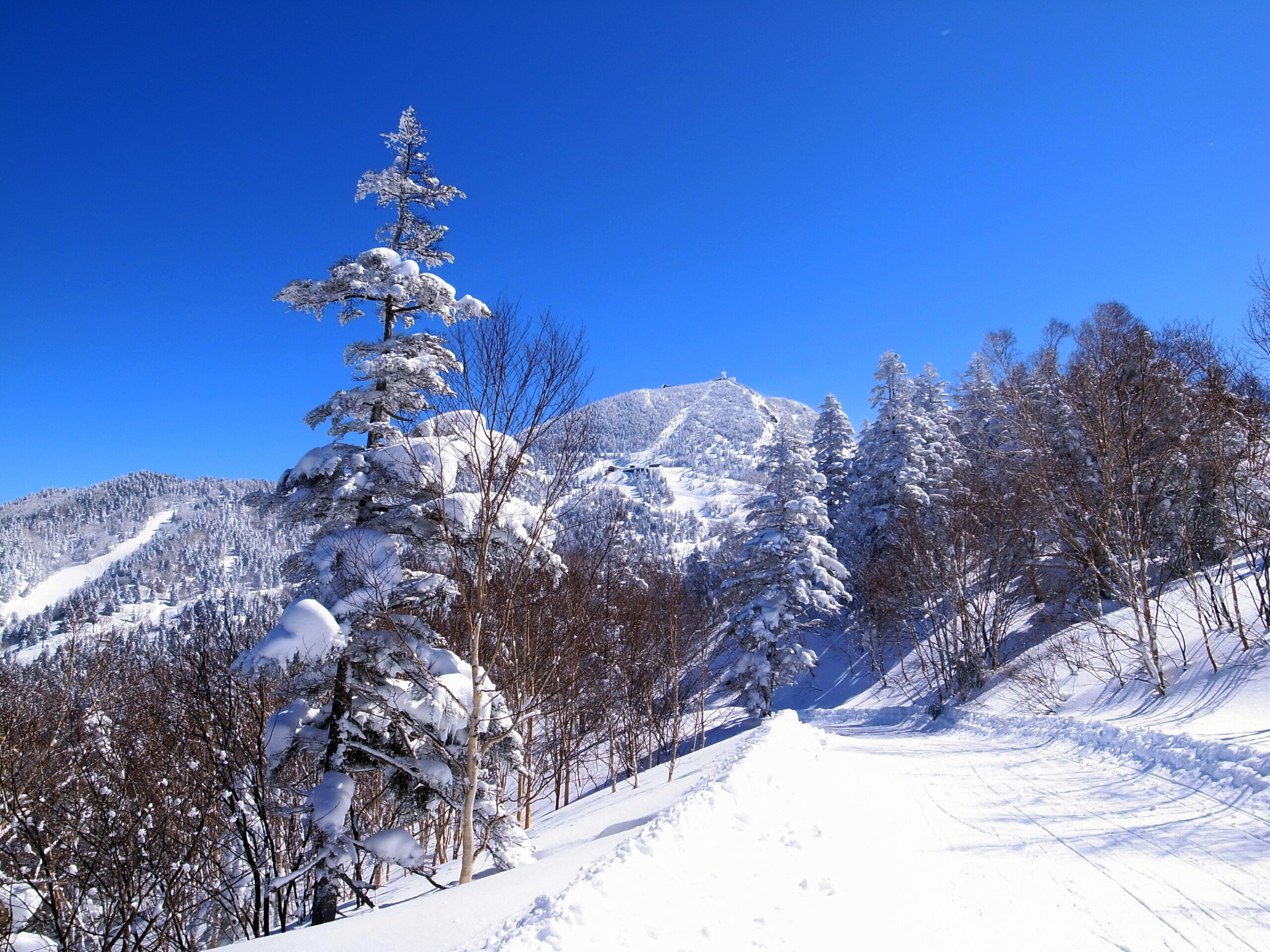 横手山
